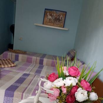 Продается 1-комнатная квартира, 19 м²