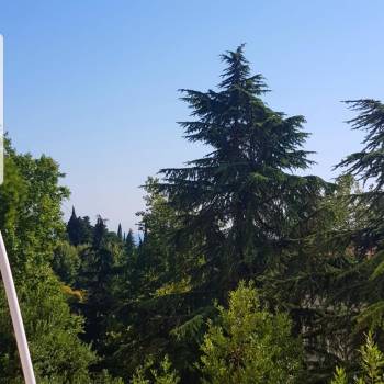 Продается 2-х комнатная квартира, 55 м²