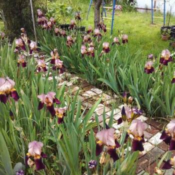Продается Дом, 150 м²