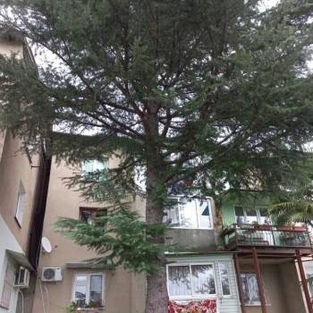 Продается 2-х комнатная квартира, 50 м²