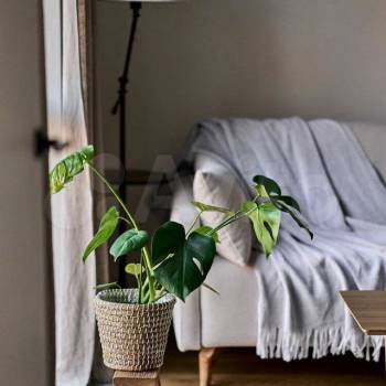 Сдается 2-х комнатная квартира, 40 м²