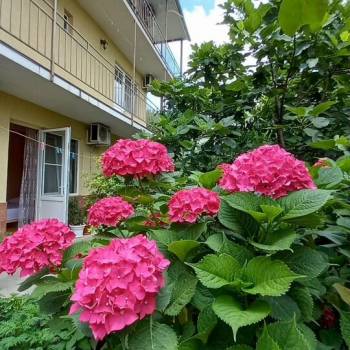 Сдается Комната, 18 м²