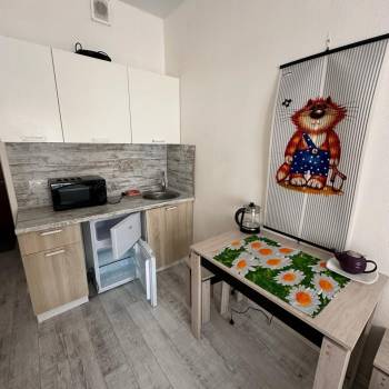Сдается 1-комнатная квартира, 27 м²