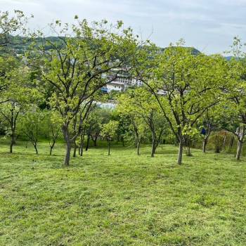 Продается Участок, 600 м²