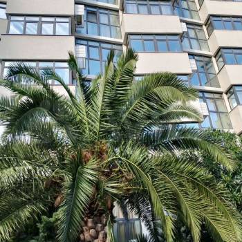 Сдается 1-комнатная квартира, 45,6 м²
