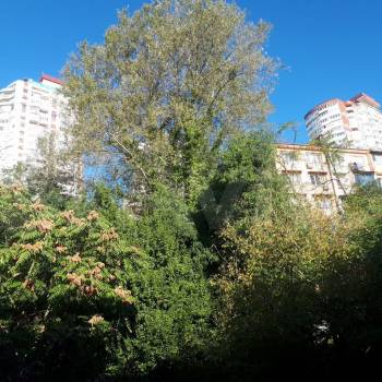Продается 1-комнатная квартира, 15 м²