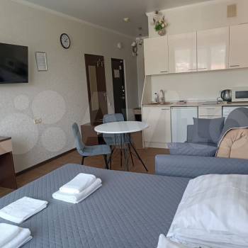 Продается 1-комнатная квартира, 27,5 м²