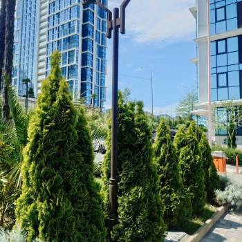 Продается 2-х комнатная квартира, 45,5 м²
