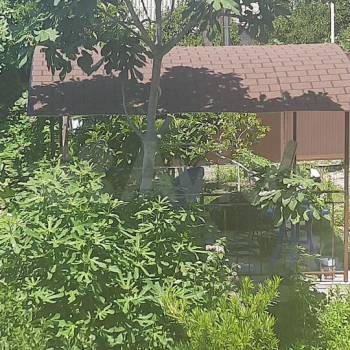 Сдается Комната, 17 м²