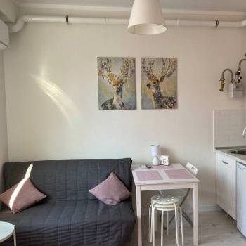 Продается 1-комнатная квартира, 25,06 м²