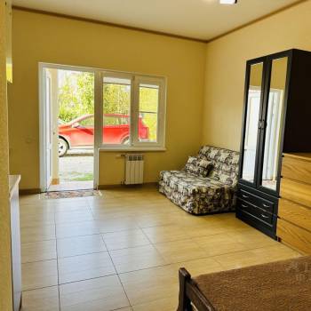 Сдается 1-комнатная квартира, 30 м²