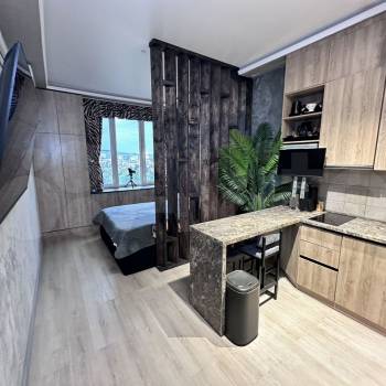 Сдается 1-комнатная квартира, 25,4 м²