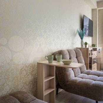 Сдается 1-комнатная квартира, 24 м²