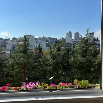 Сдается Многокомнатная квартира, 103 м²
