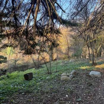 Продается Участок, 600 м²