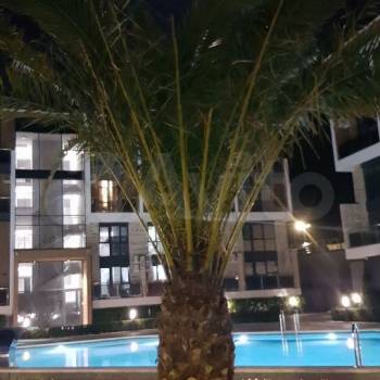 Сдается 2-х комнатная квартира, 51 м²