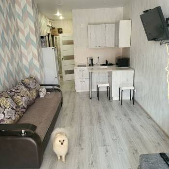 Продается 1-комнатная квартира, 30 м²