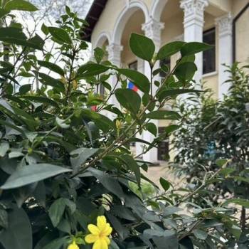 Сдается Многокомнатная квартира, 68 м²