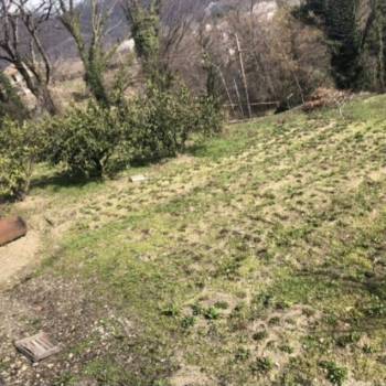 Продается Участок, 1000 м²