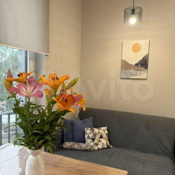 Сдается 1-комнатная квартира, 30 м²