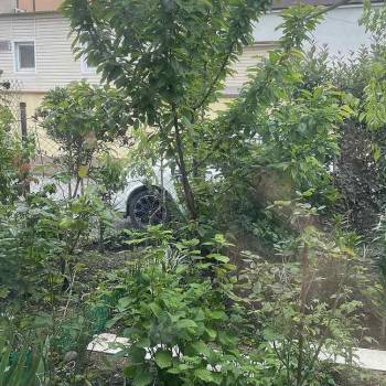 Сдается Многокомнатная квартира, 55 м²