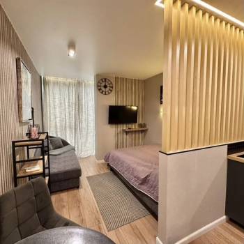 Сдается 1-комнатная квартира, 24,1 м²