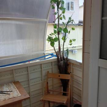 Сдается Комната, 30 м²