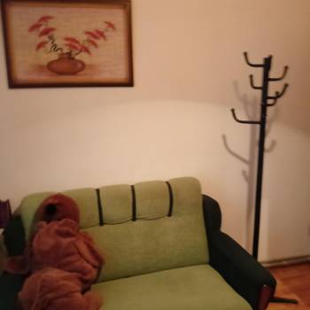 Сдается Комната, 30 м²