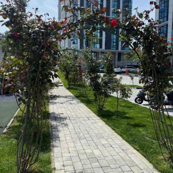 Сдается 1-комнатная квартира, 20 м²