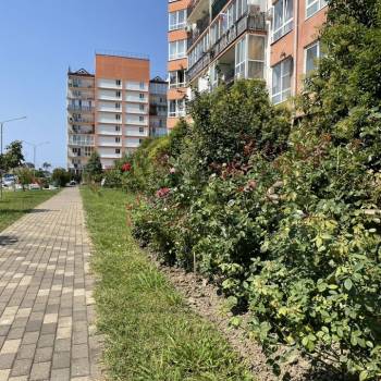 Сдается 1-комнатная квартира, 35 м²