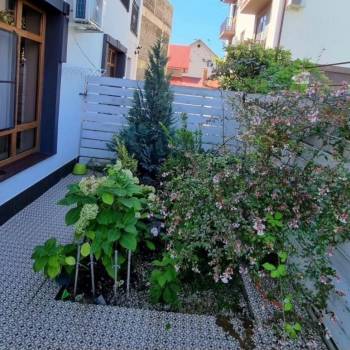Сдается 1-комнатная квартира, 24,2 м²