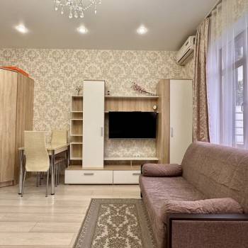 Сдается 1-комнатная квартира, 24,2 м²