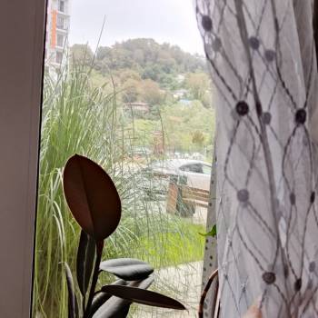 Продается 1-комнатная квартира, 25,2 м²