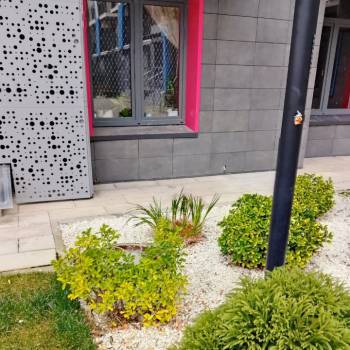 Продается 1-комнатная квартира, 25,2 м²