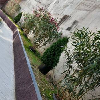 Продается 1-комнатная квартира, 19,3 м²