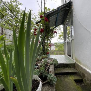 Сдается Комната, 20 м²