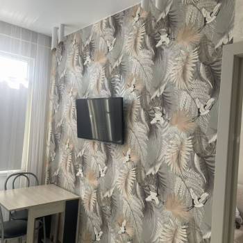 Сдается 2-х комнатная квартира, 24,9 м²