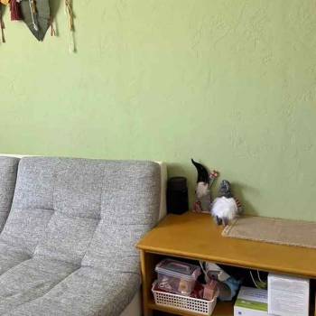 Сдается 1-комнатная квартира, 35,6 м²