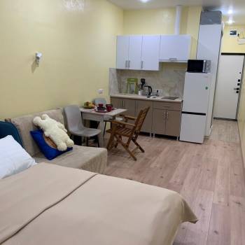 Сдается 1-комнатная квартира, 24,4 м²