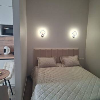 Сдается 1-комнатная квартира, 24,8 м²