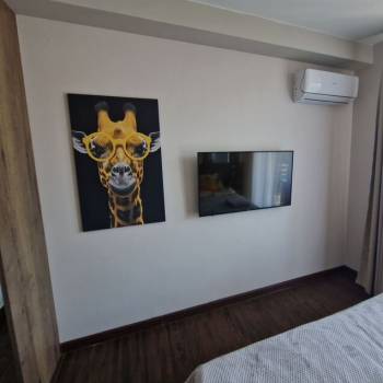 Сдается 1-комнатная квартира, 20,9 м²