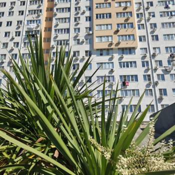 Сдается 2-х комнатная квартира, 66 м²
