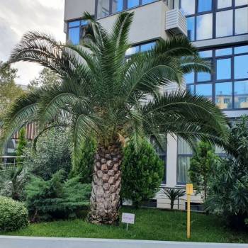 Продается 1-комнатная квартира, 48,1 м²