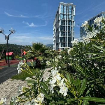 Сдается 1-комнатная квартира, 25 м²