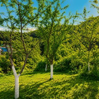 Продается Участок, 500 м²