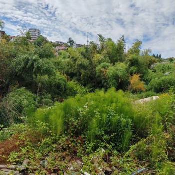 Продается Участок, 500 м²