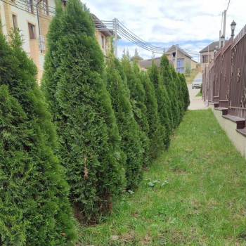 Продается 1-комнатная квартира, 23,9 м²
