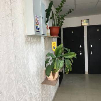 Продается 1-комнатная квартира, 24 м²