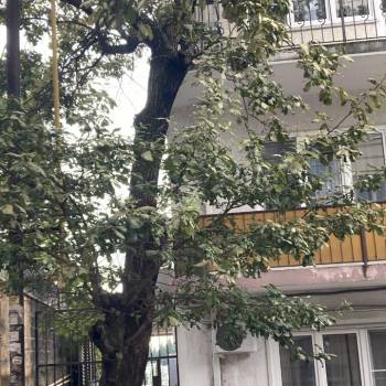 Сдается 1-комнатная квартира, 23 м²
