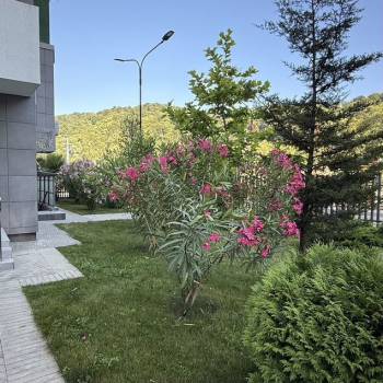 Сдается Нежилое помещение, 74 м²